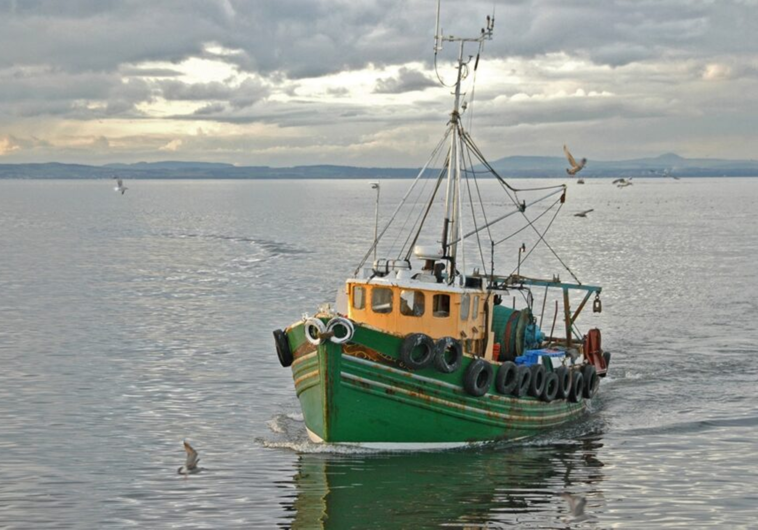 Agriculture, Forestry & Fishing