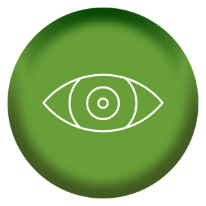 Vision Icon