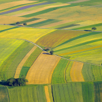 The Key Sustainability Challenges Facing UK Agriculture & Farming