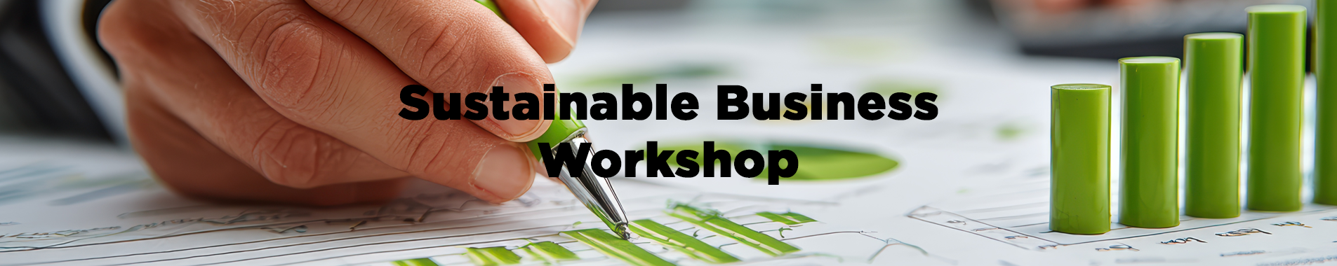 Sustainable Business Workshop